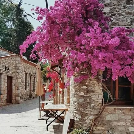 Villa Mila